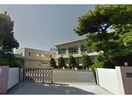 刈谷市立小垣江小学校(小学校)まで481m パレスカモメ