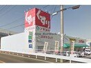 スギ薬局牛田店(ドラッグストア)まで818m カーサ・カルーナ