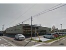 Felna大和店(スーパー)まで798m 仮）岡崎市大和町新築戸建