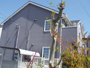 パロス　ベルデス