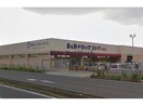 B＆Dドラッグストア豊田若林店(ドラッグストア)まで1841m 豊田市吉原町店舗