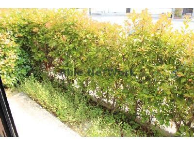 専用庭101 ハートホーム八ッ橋Ｂ