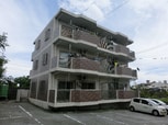 オアシス桂