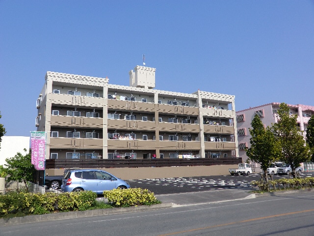  チェリースカイM