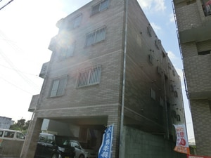 オアシスラム