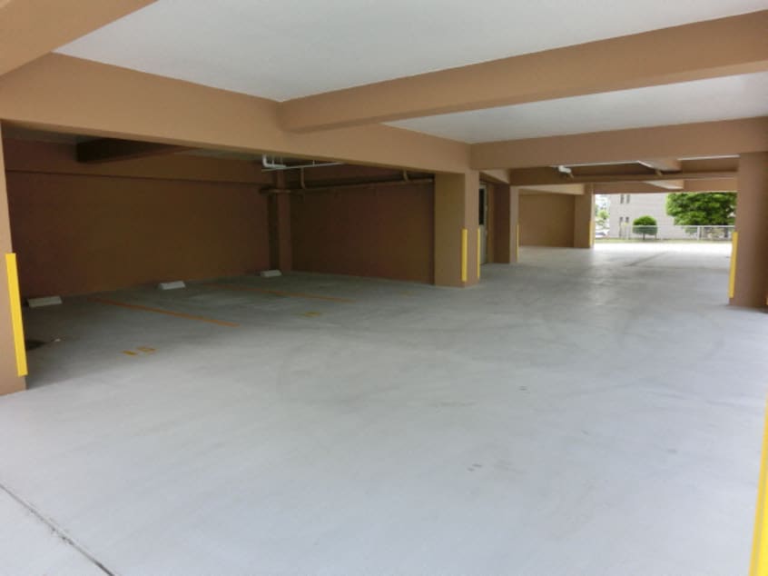  プリムローズ・ミオナ