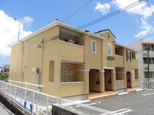 カミー・シナビⅡ