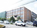 秋田市立城東中学校(中学校/中等教育学校)まで1069m セジュールまきII
