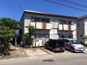 パナハイツサルビア