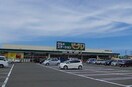 ビフレ東通店(スーパー)まで802m インフィニティ　サクラ