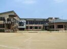 認定こども園総和文化幼稚園(幼稚園/保育園)まで2528m エトランゼⅠ