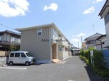 ライム　ウッド