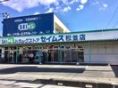 ドラッグセイムス松並店(ドラッグストア)まで1419m グランソレイユ