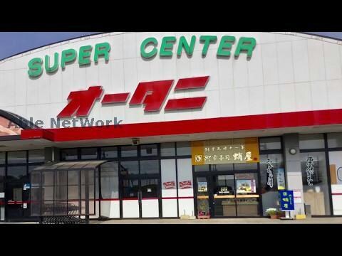 スーパーオータニ野木店(スーパー)まで216m プリメーロ