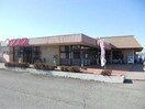 マスダ三和店(スーパー)まで1376m サイトウハイツ
