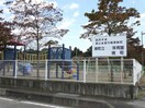 境町立ひまわり保育園(幼稚園/保育園)まで1618m エレガントリブⅠ