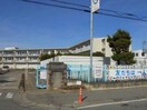 古河市立古河第六小学校(小学校)まで463m 松本コーポ