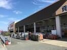 DCMホーマック境店(電気量販店/ホームセンター)まで1282m プラシードヒルズ