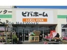 ビバホーム古河店(電気量販店/ホームセンター)まで843m リビングタウン古河北Ｆ