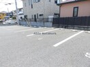  エバー・グリーン