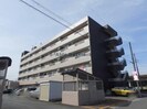 マロニエハイツの外観
