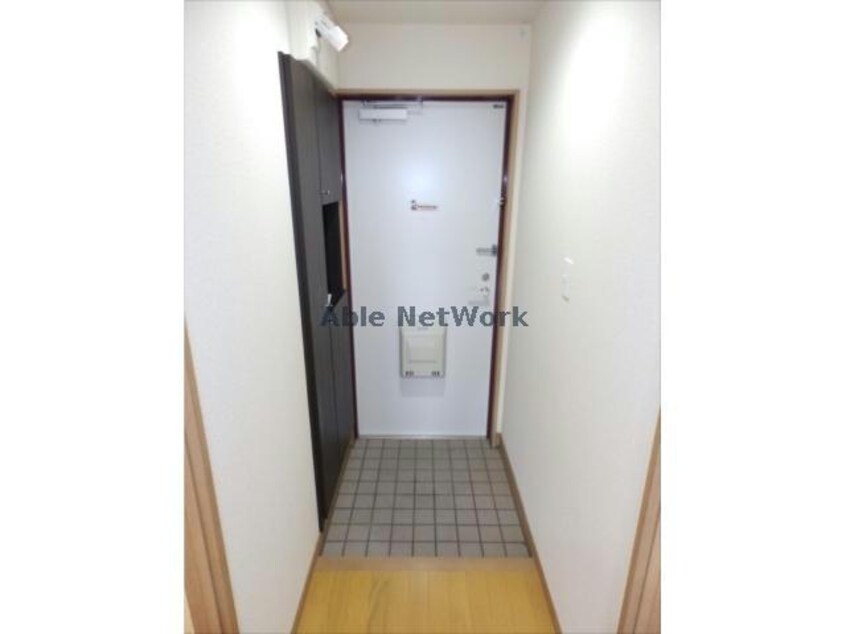  Ｙ＆Ｍ　Ｇioia NOGI