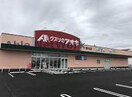 クスリのアオキ茨城境店(ドラッグストア)まで322m 未来人