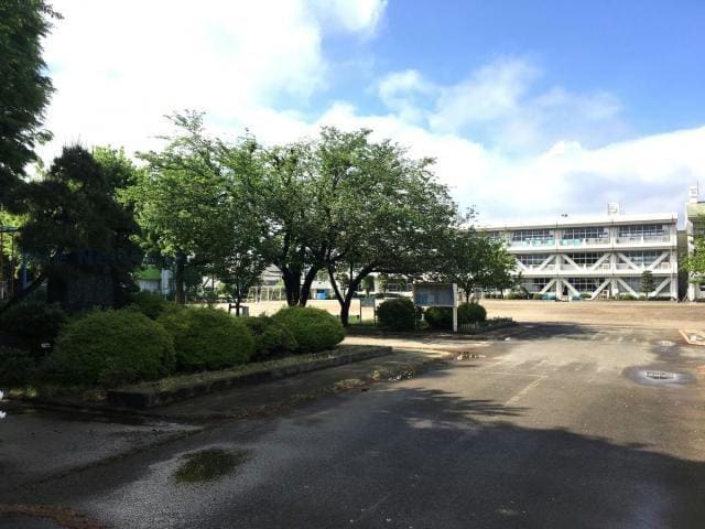 古河市立下大野小学校(小学校)まで1054m アムールＡ