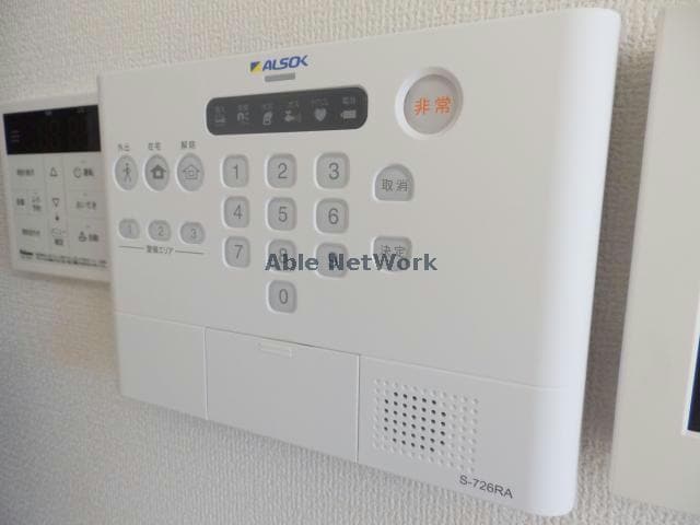  ウィング　バード