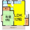 カナメコーポ 1LDKの間取り