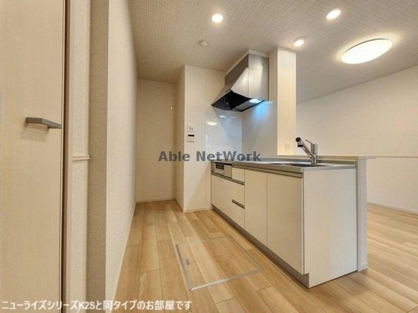 同型モデル 大山ニューライズⅡ