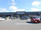 ホームセンタームサシ新発田コモ店(電気量販店/ホームセンター)まで498m 白新線・羽越本線（新潟県内）/西新発田駅 徒歩30分 2階 築29年