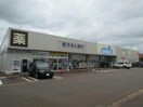 ウエルシア新発田本町店(ドラッグストア)まで383m 白新線・羽越本線（新潟県内）/新発田駅 徒歩13分 2階 築30年