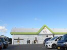 Seriaウオロク緑店(ディスカウントショップ)まで1868m 白新線・羽越本線（新潟県内）/新発田駅 バス25分城北町3丁目下車:停歩7分 1階 築28年