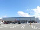 カワチ薬品新発田店(ドラッグストア)まで1161m 白新線・羽越本線（新潟県内）/新発田駅 バス10分城北町２丁目下車:停歩11分 2階 築31年