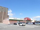 クスリのアオキ住吉店(ドラッグストア)まで941m 白新線・羽越本線（新潟県内）/西新発田駅 徒歩15分 1階 築19年