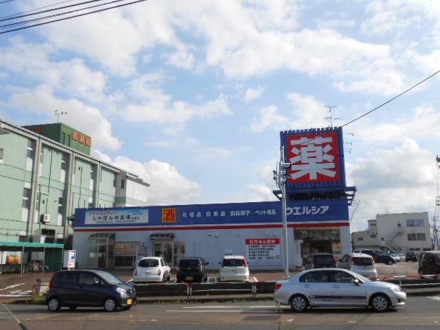 ウエルシア薬局新潟水原店(ドラッグストア)まで976m 白新線・羽越本線（新潟県内）/水原駅 徒歩10分 2階 築24年