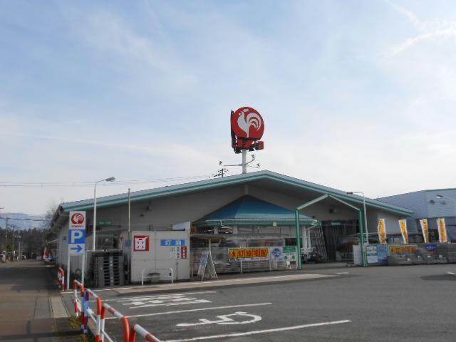 コメリハード＆グリーン五十公野店(電気量販店/ホームセンター)まで1656m 白新線・羽越本線（新潟県内）/新発田駅 バス18分天の原下車:停歩4分 1階 築12年