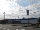 クスリのコダマ新崎店(ドラッグストア)まで1468m 白新線・羽越本線（新潟県内）/新崎駅 徒歩10分 2階 築12年