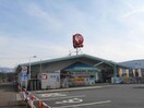 コメリハード＆グリーン五十公野店(電気量販店/ホームセンター)まで1080m 白新線・羽越本線（新潟県内）/新発田駅 徒歩14分 1階 築8年