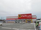 ドラッグ・トップス葛塚店(ドラッグストア)まで666m 白新線・羽越本線（新潟県内）/豊栄駅 徒歩10分 2階 築36年