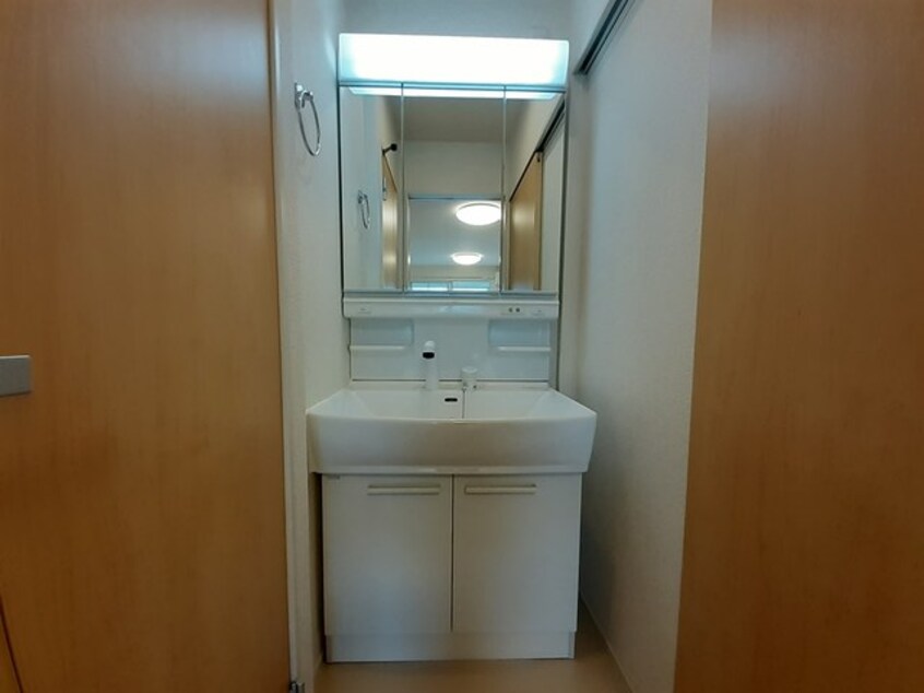 洗面所 マスカット　ベリー　Ｂ