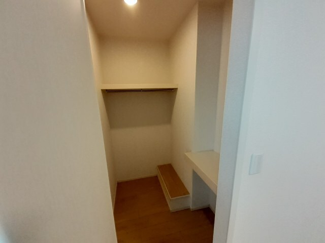 収納 マスカット　ベリー　Ｂ