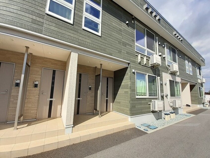 その他 マスカット　ベリー　Ｂ