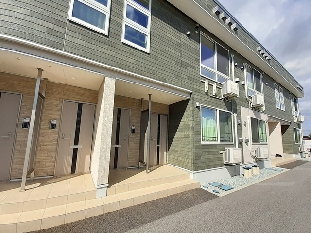 その他 マスカット　ベリー　Ｂ