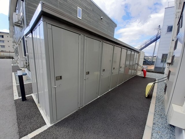 その他 マスカット　ベリー　Ｂ