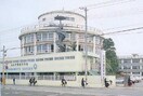 山本学園高等学校 121m Elvita