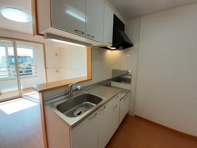 キッチン グレープ　シード