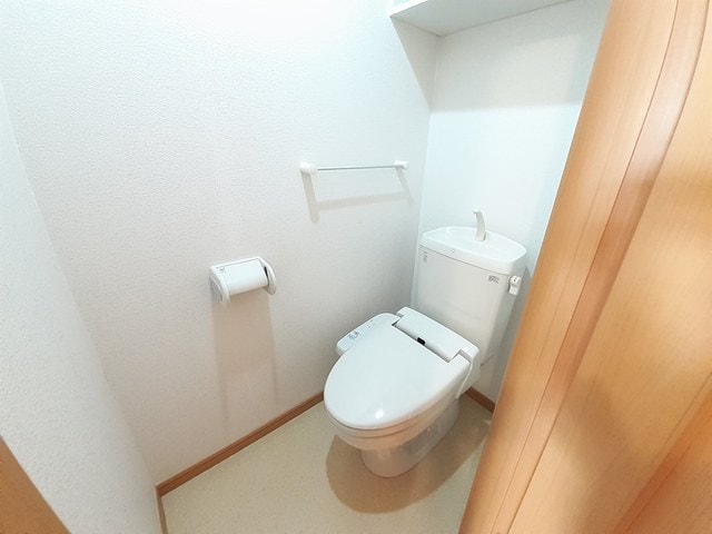 トイレ グレープ　シード