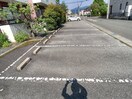  クックデュオ